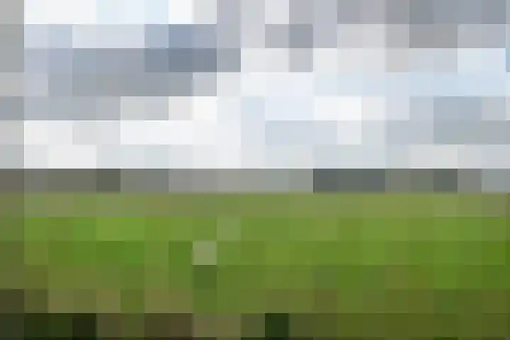 Spijkse Kweldijk 104 c Spijk thumbnail 4