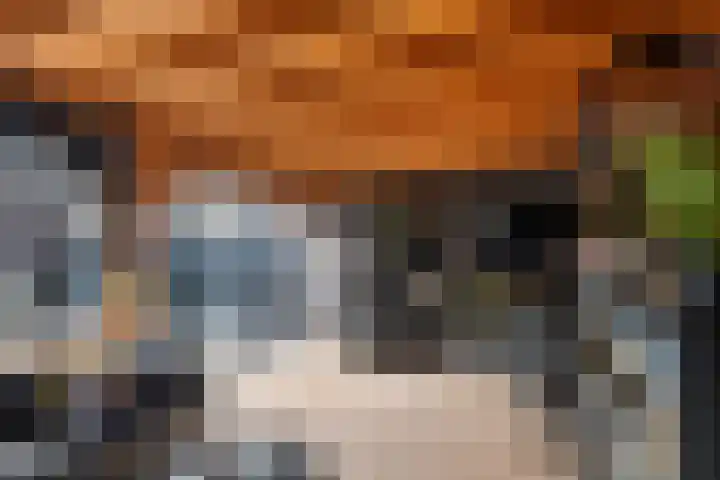 Spijkse Kweldijk 104 c Spijk thumbnail 42