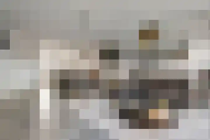Spijkse Kweldijk 104 c Spijk thumbnail 9