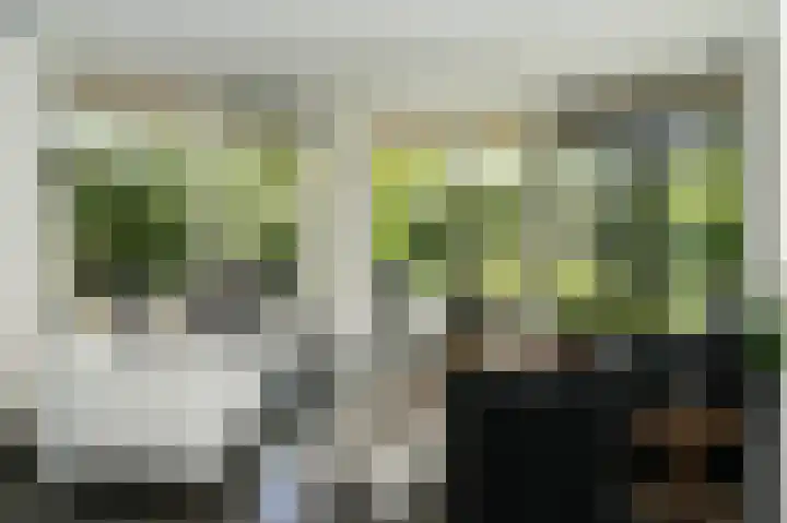 Spijkse Kweldijk 3 Heukelum thumbnail 13