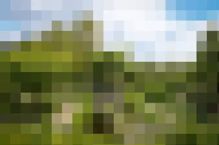 Spijkse Kweldijk 3 Heukelum thumbnail 37