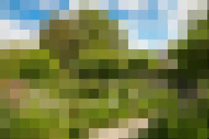 Spijkse Kweldijk 3 Heukelum thumbnail 38
