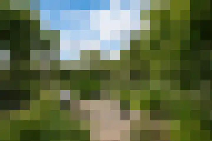 Spijkse Kweldijk 3 Heukelum thumbnail 39