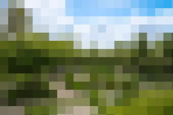 Spijkse Kweldijk 3 Heukelum thumbnail 4