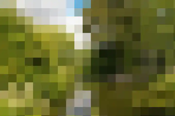 Spijkse Kweldijk 3 Heukelum thumbnail 40