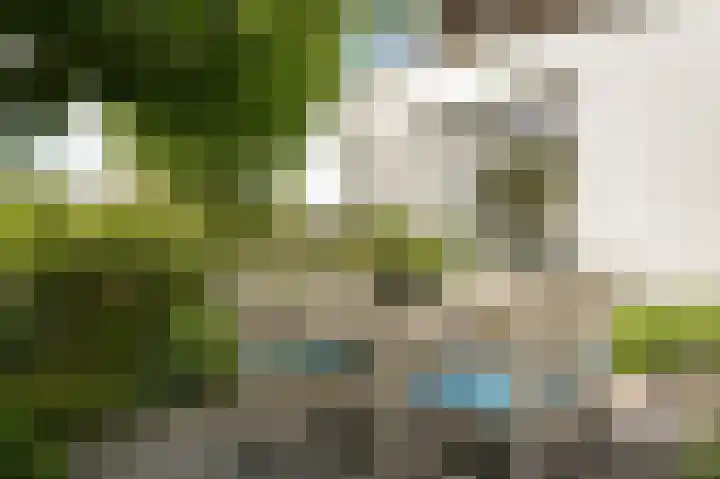 Spijkse Kweldijk 3 Heukelum thumbnail 41