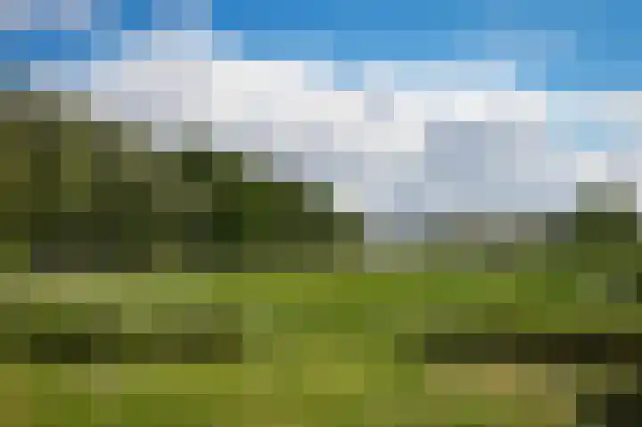 Spijkse Kweldijk 3 Heukelum thumbnail 42