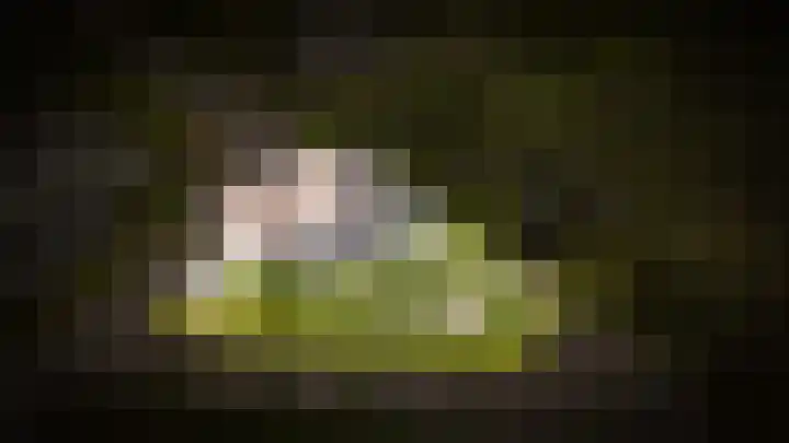 Spijkse Kweldijk 3 Heukelum thumbnail 45