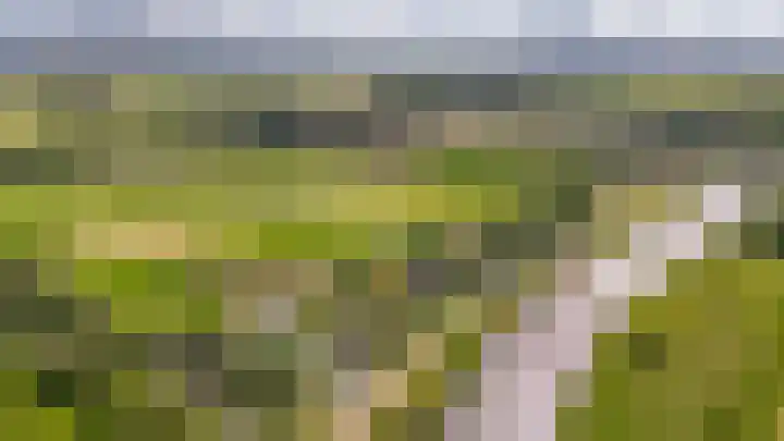 Spijkse Kweldijk 3 Heukelum thumbnail 6