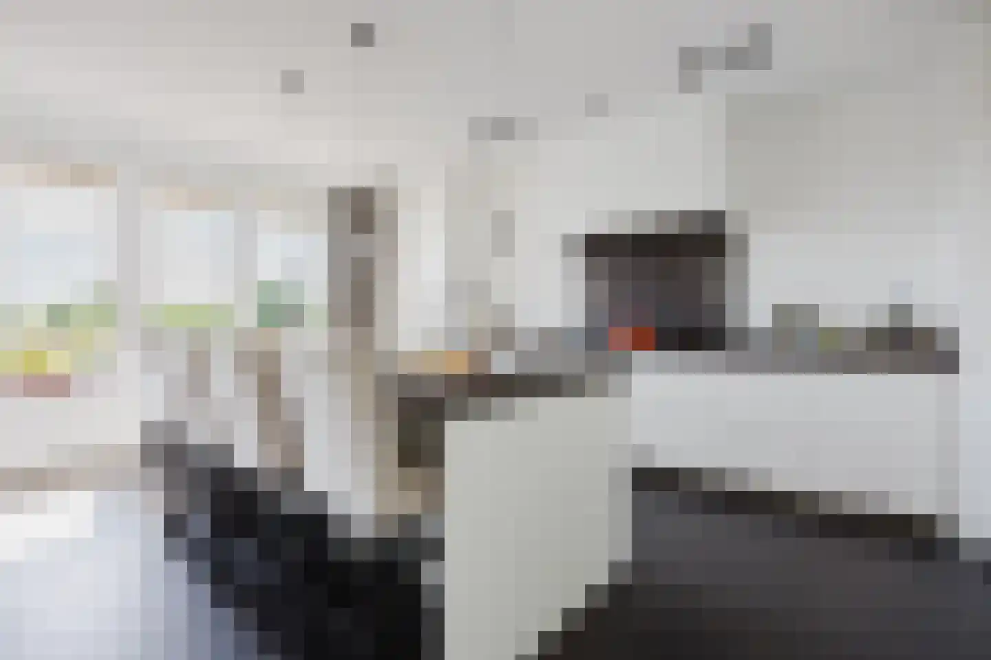 Spijkse Kweldijk 41 d 1 Spijk thumbnail 11