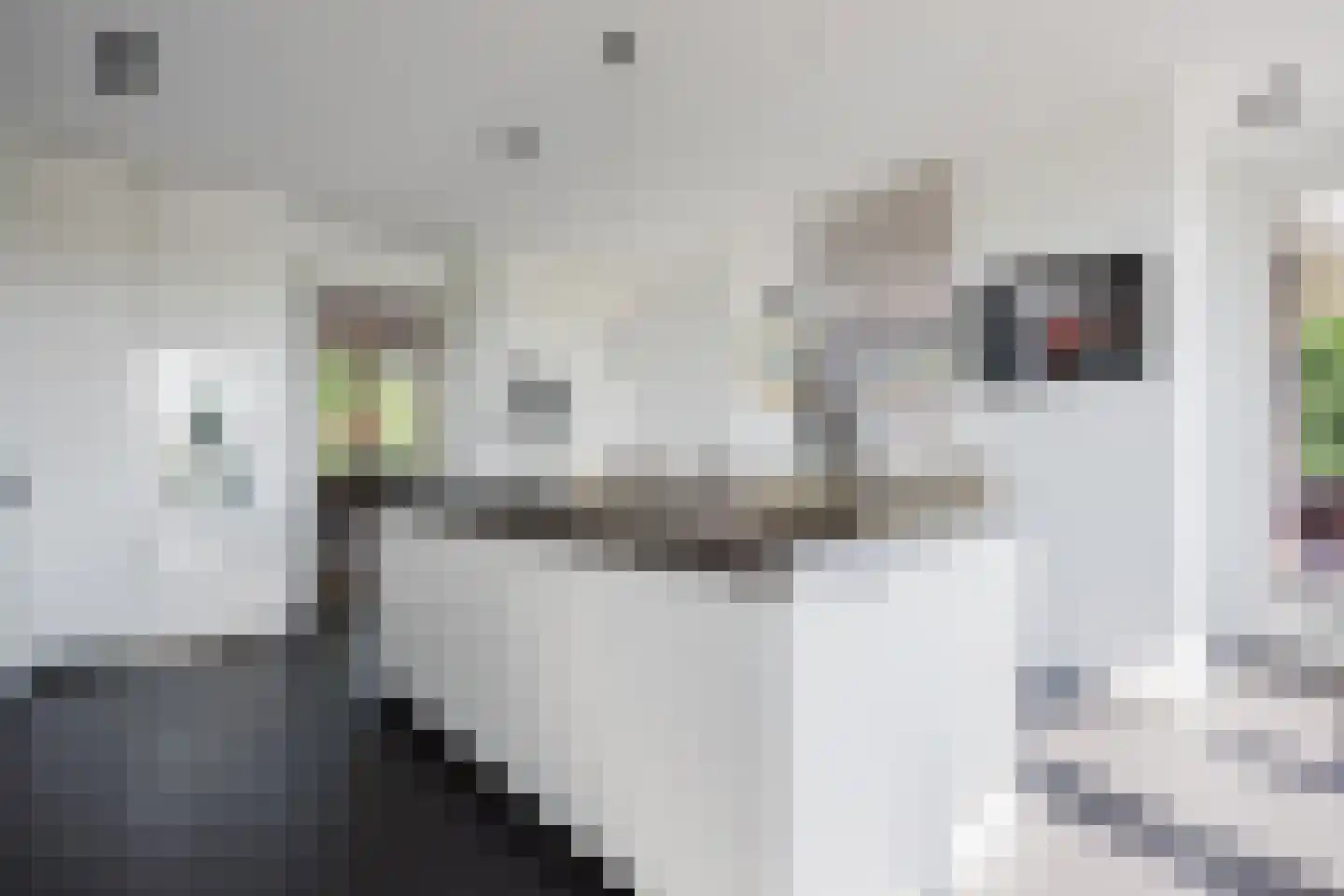 Spijkse Kweldijk 41 d 1 Spijk thumbnail 13