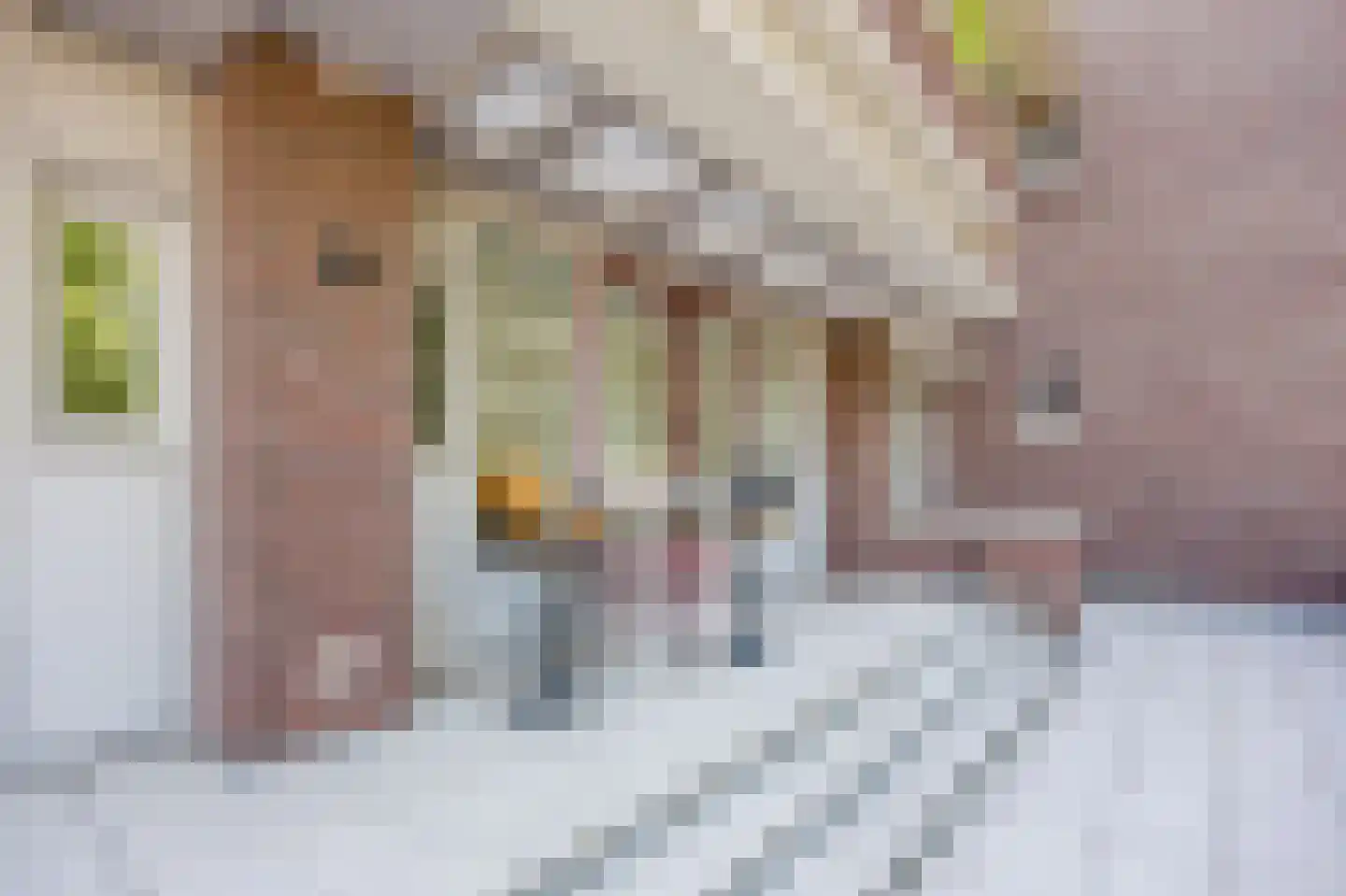 Spijkse Kweldijk 41 d 1 Spijk thumbnail 35