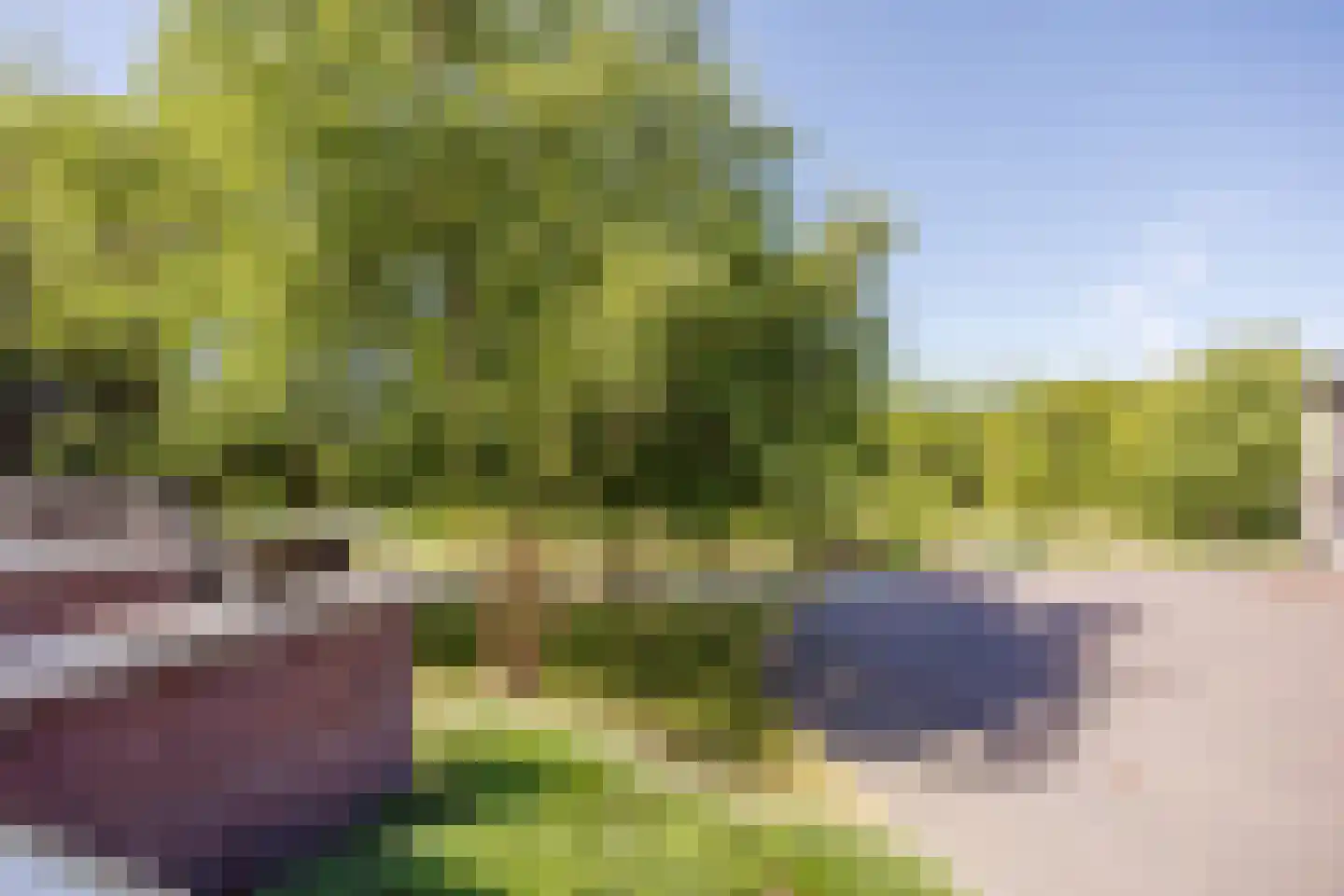 Spijkse Kweldijk 41 d 1 Spijk thumbnail 38