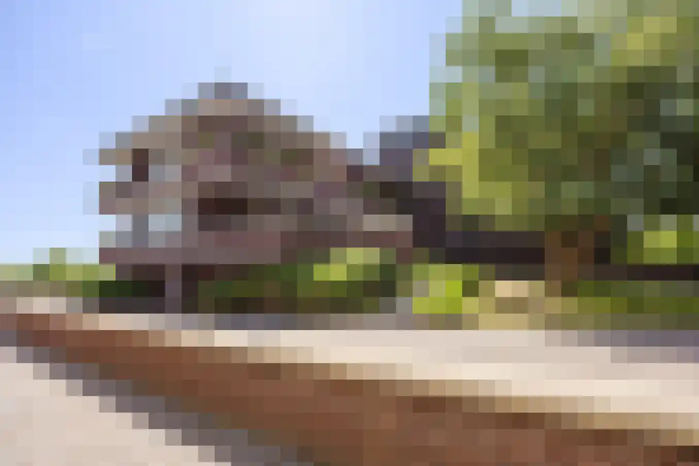 Spijkse Kweldijk 41 d 1 Spijk thumbnail 39