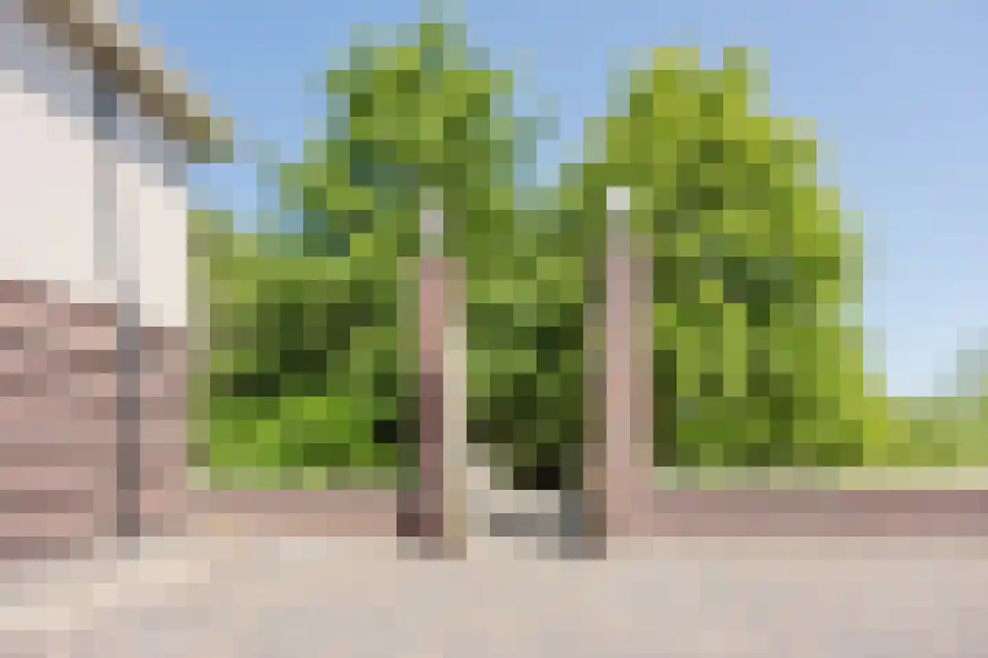 Spijkse Kweldijk 41 d 1 Spijk thumbnail 46