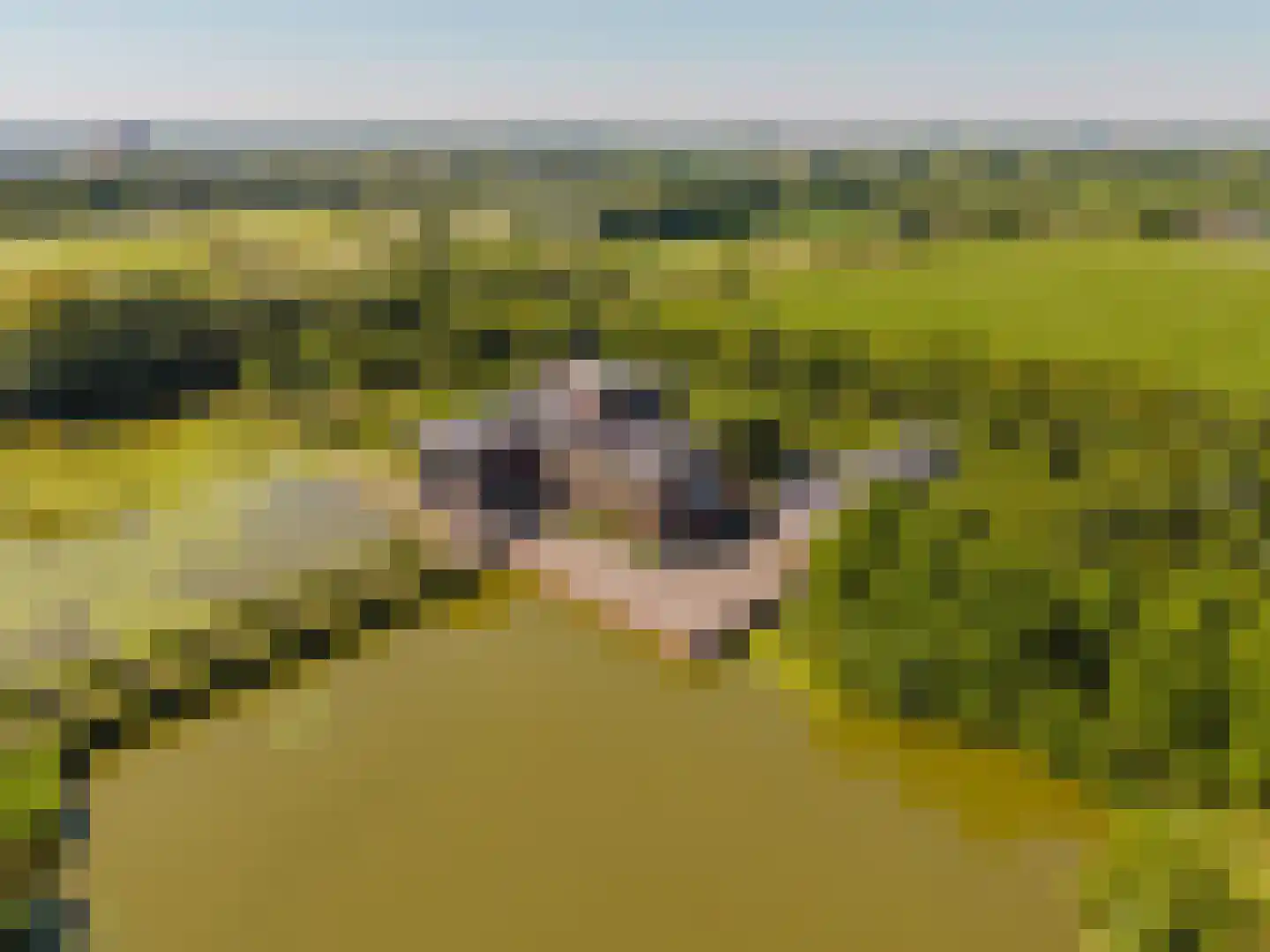 Spijkse Kweldijk 41 d 1 Spijk thumbnail 48