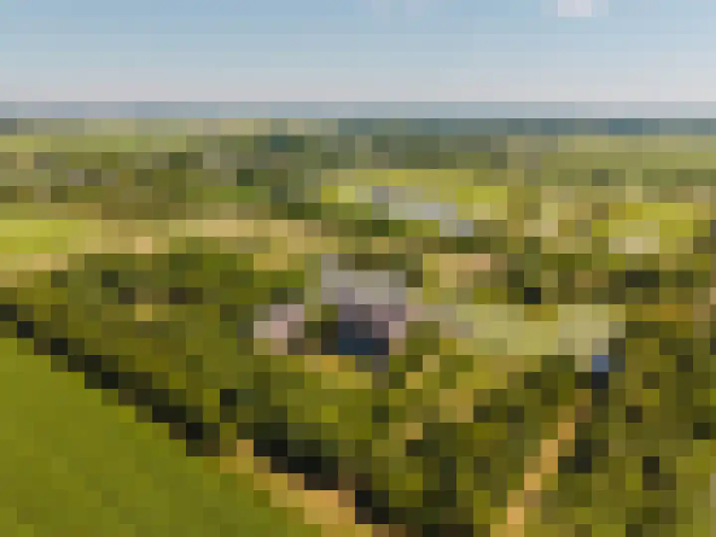 Spijkse Kweldijk 41 d 1 Spijk thumbnail 49