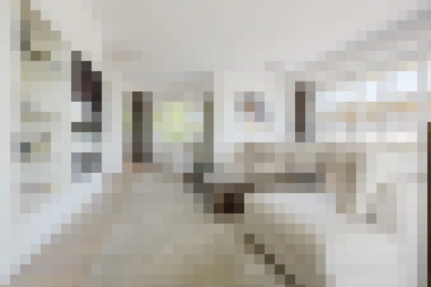 Spijkse Kweldijk 41 d 1 Spijk thumbnail 8