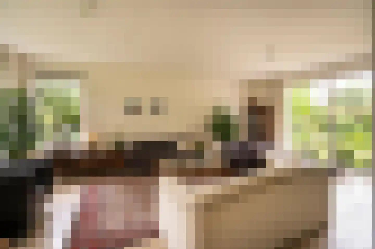 Spijkse Kweldijk 98 Spijk thumbnail 11