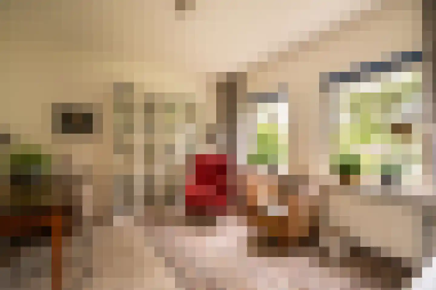 Spijkse Kweldijk 98 Spijk thumbnail 17