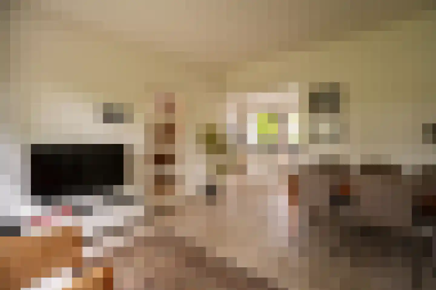 Spijkse Kweldijk 98 Spijk thumbnail 18