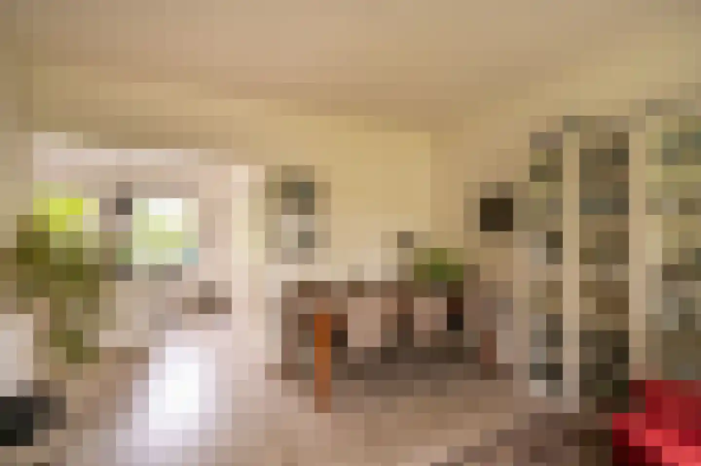Spijkse Kweldijk 98 Spijk thumbnail 19