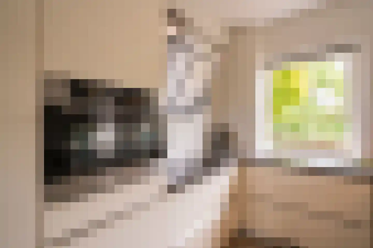Spijkse Kweldijk 98 Spijk thumbnail 21
