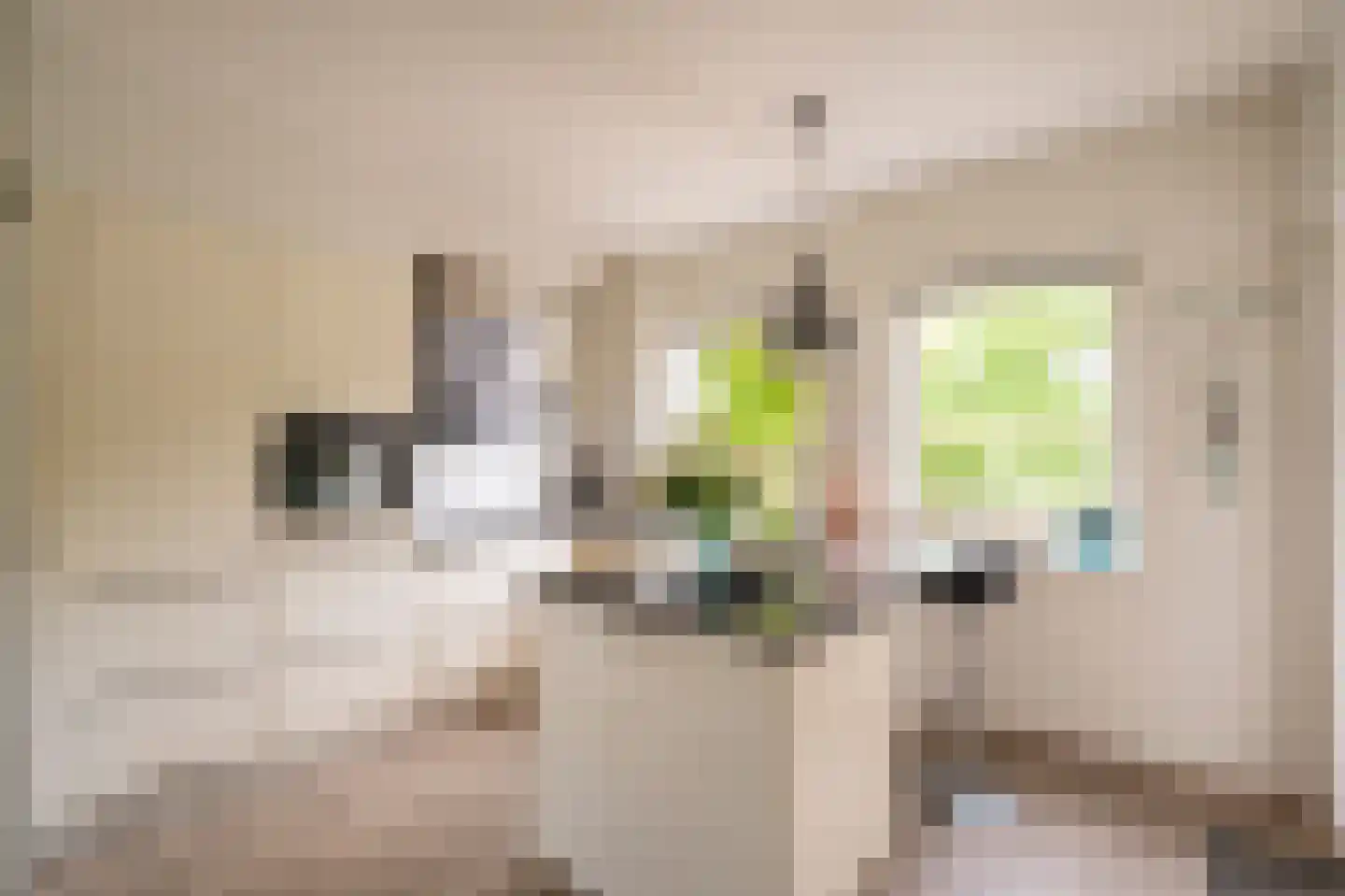 Spijkse Kweldijk 98 Spijk thumbnail 22
