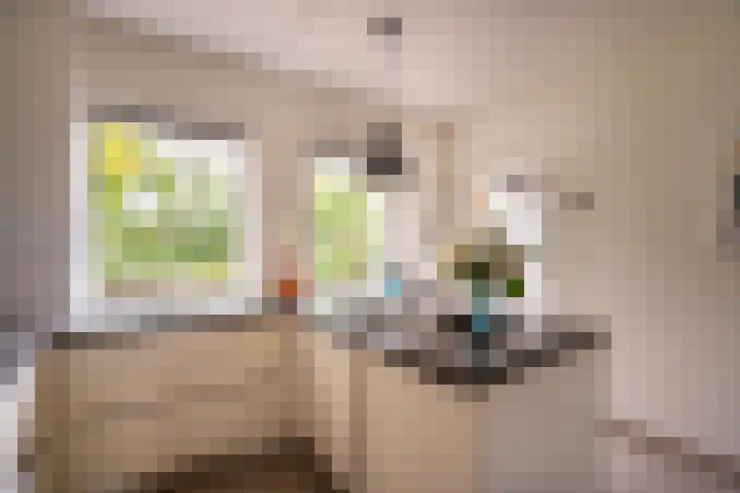 Spijkse Kweldijk 98 Spijk thumbnail 23