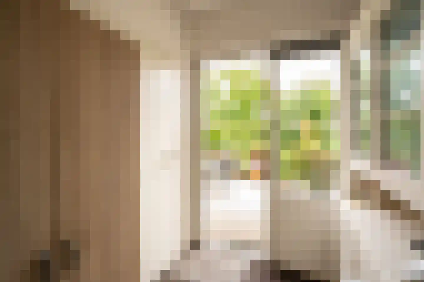 Spijkse Kweldijk 98 Spijk thumbnail 25