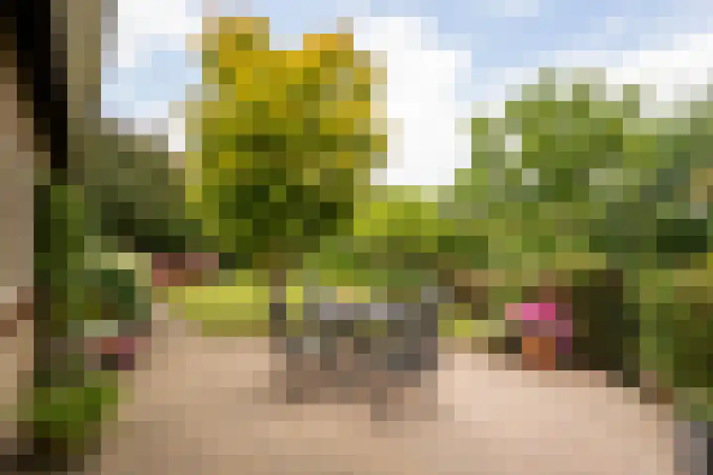 Spijkse Kweldijk 98 Spijk thumbnail 26