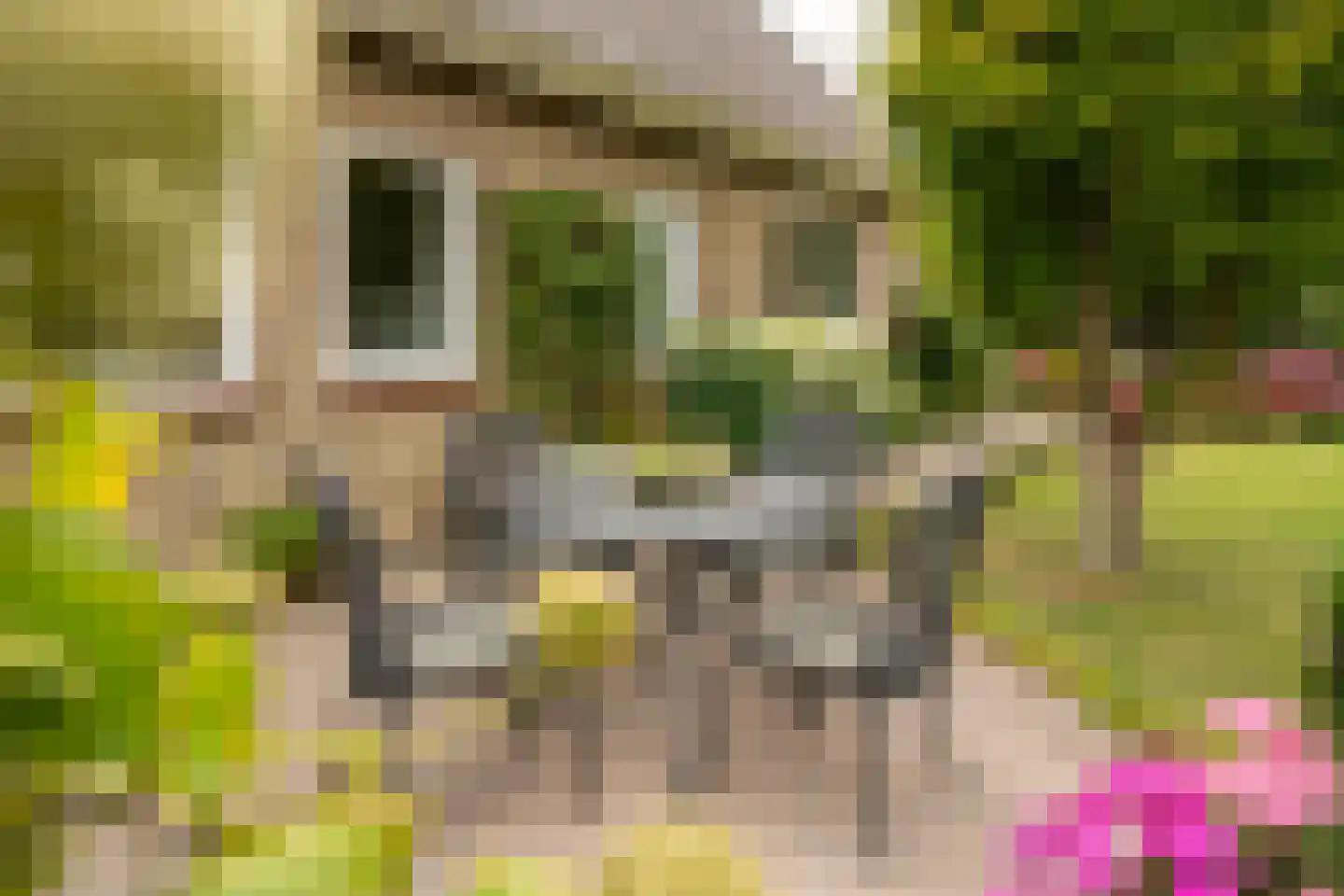 Spijkse Kweldijk 98 Spijk thumbnail 27