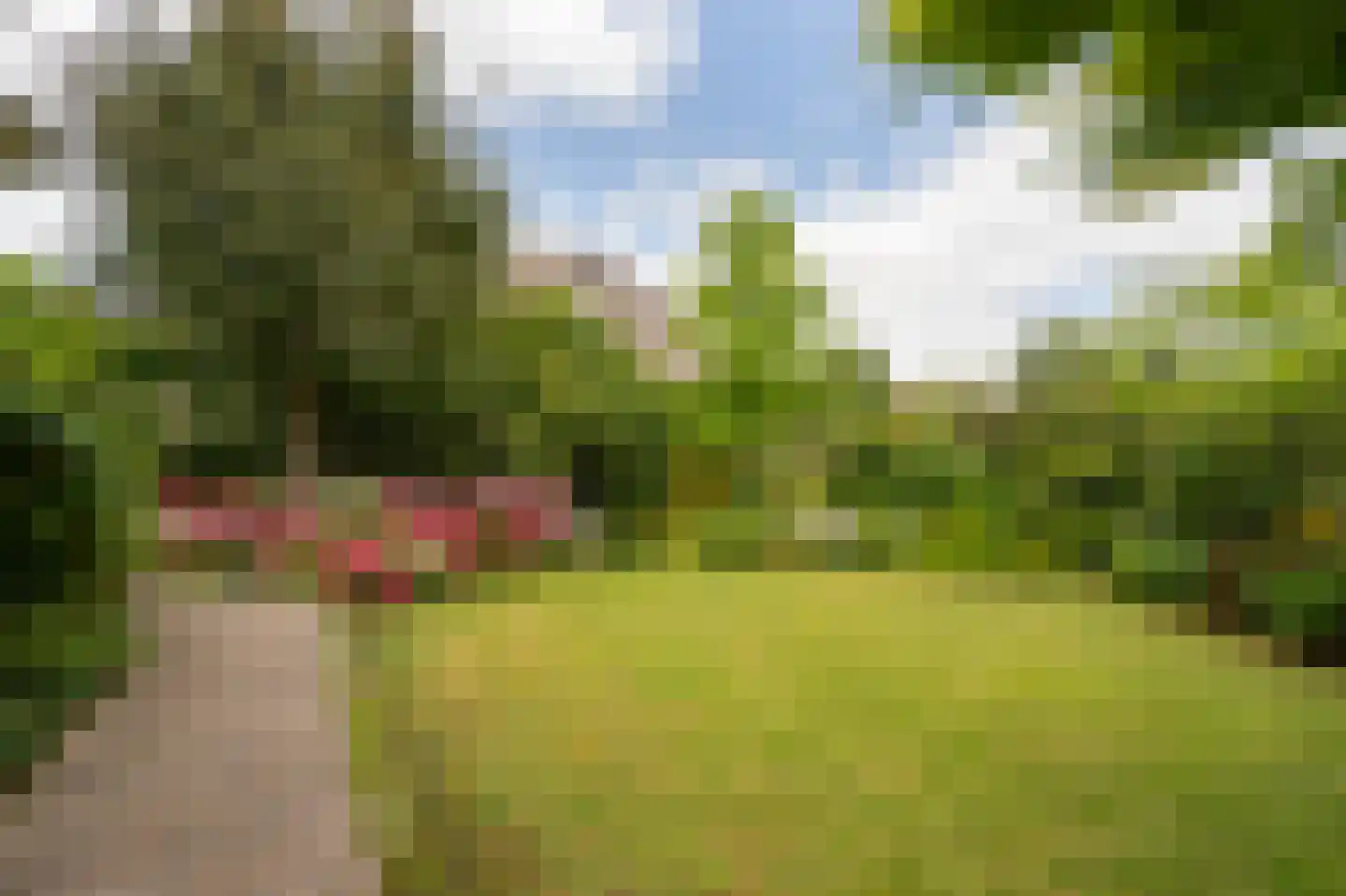 Spijkse Kweldijk 98 Spijk thumbnail 30