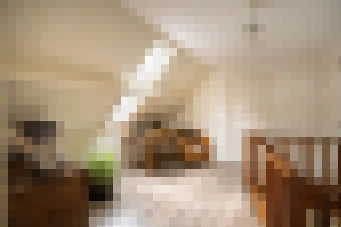 Spijkse Kweldijk 98 Spijk thumbnail 33