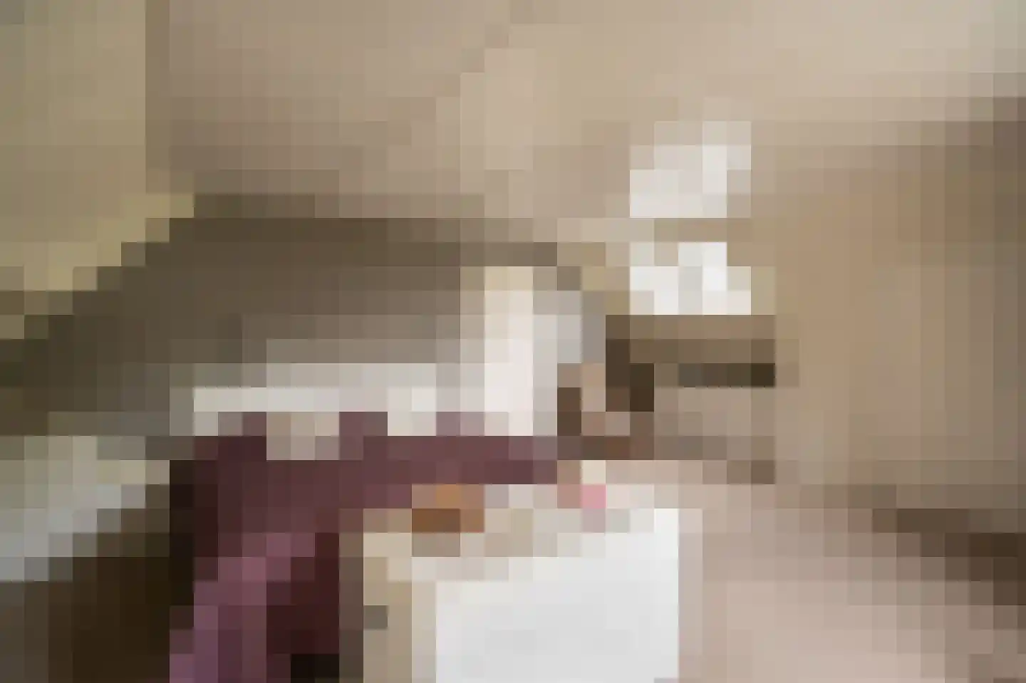 Spijkse Kweldijk 98 Spijk thumbnail 34