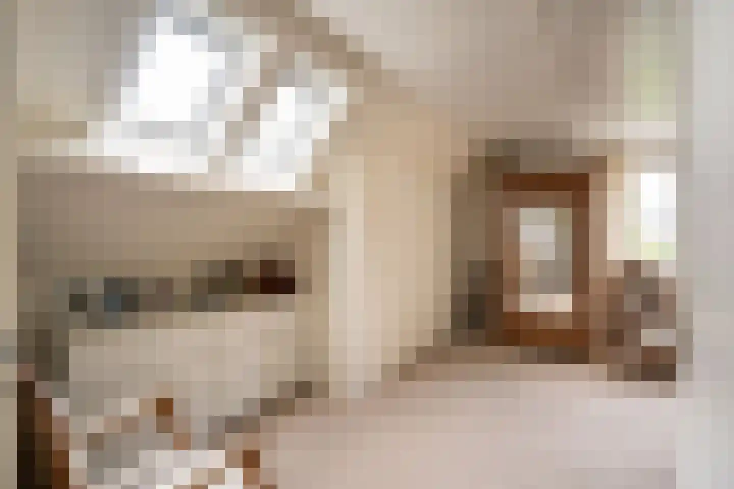 Spijkse Kweldijk 98 Spijk thumbnail 37