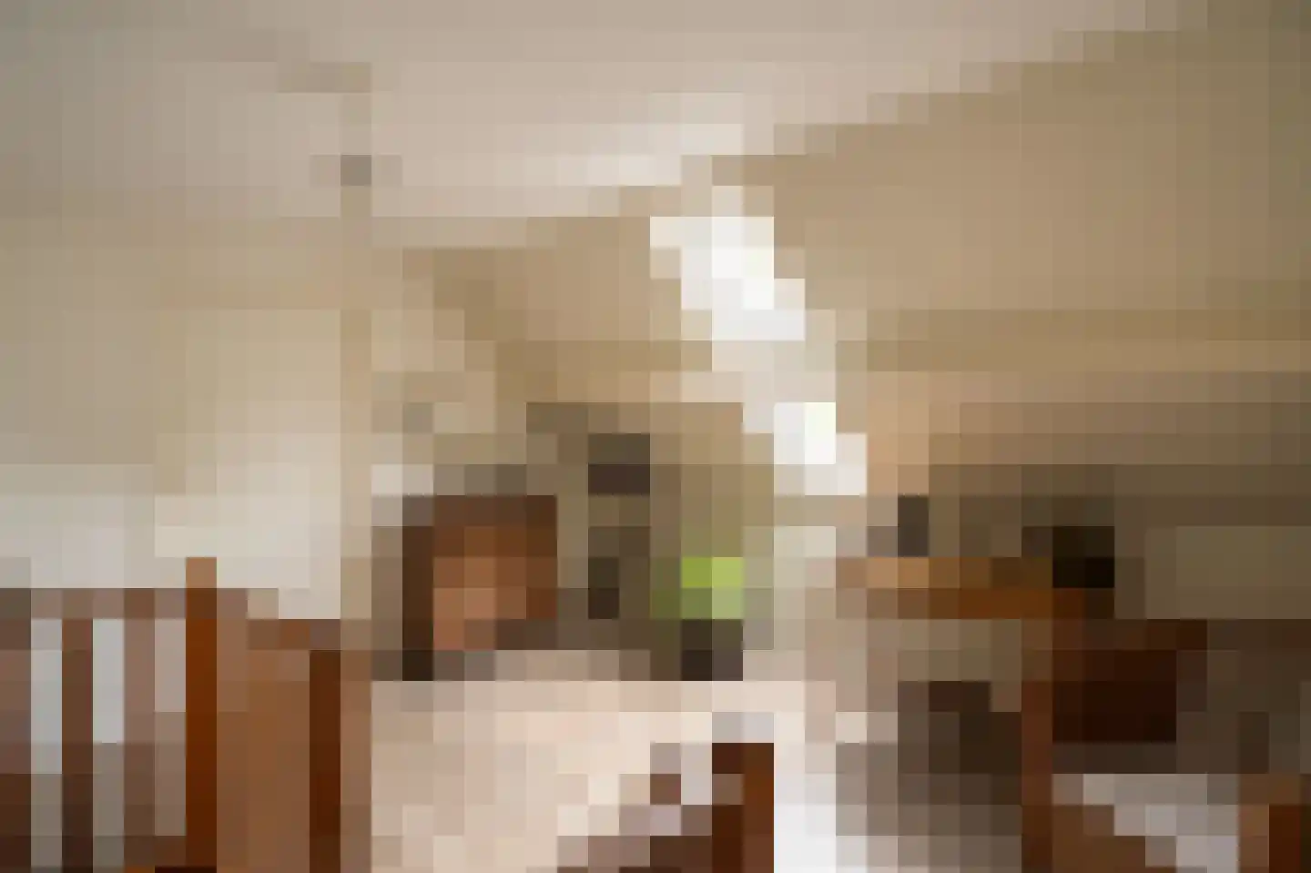 Spijkse Kweldijk 98 Spijk thumbnail 38