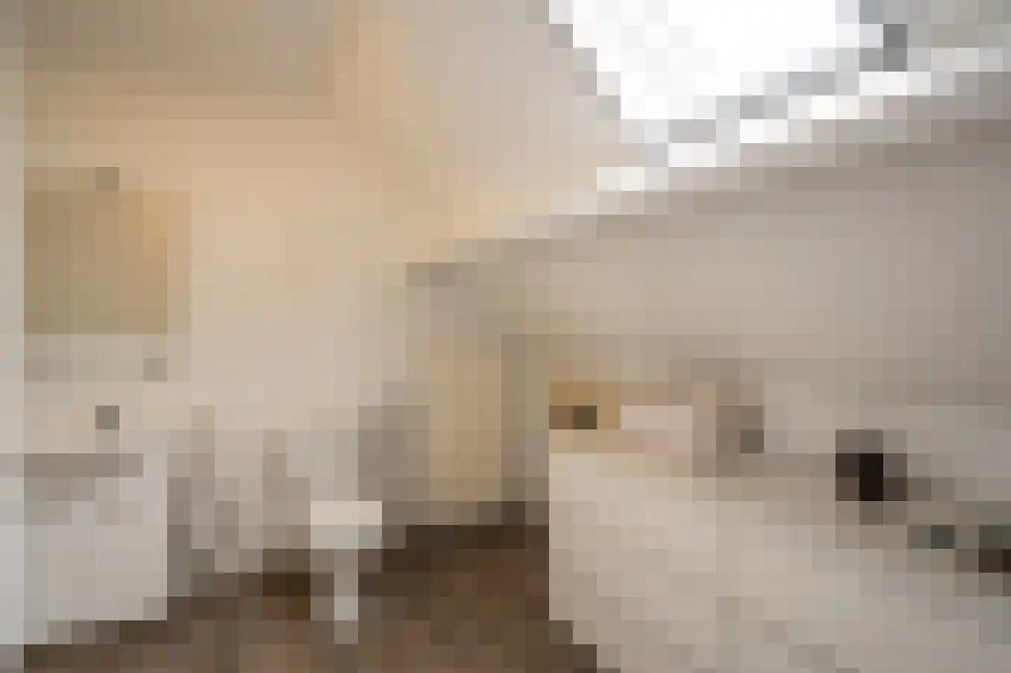 Spijkse Kweldijk 98 Spijk thumbnail 39