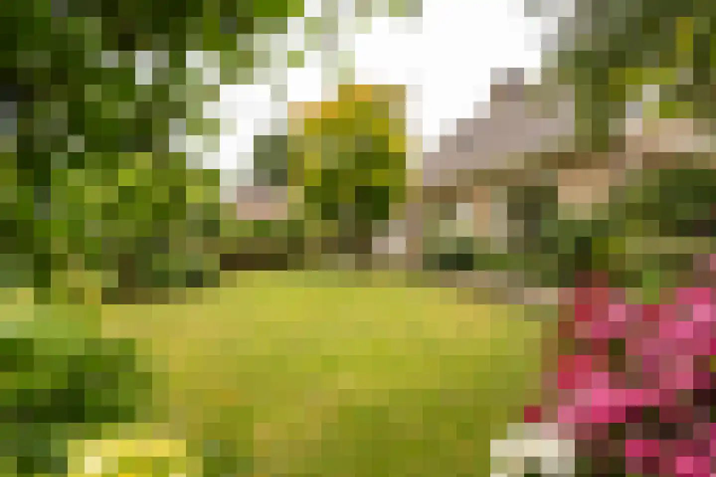 Spijkse Kweldijk 98 Spijk thumbnail 4
