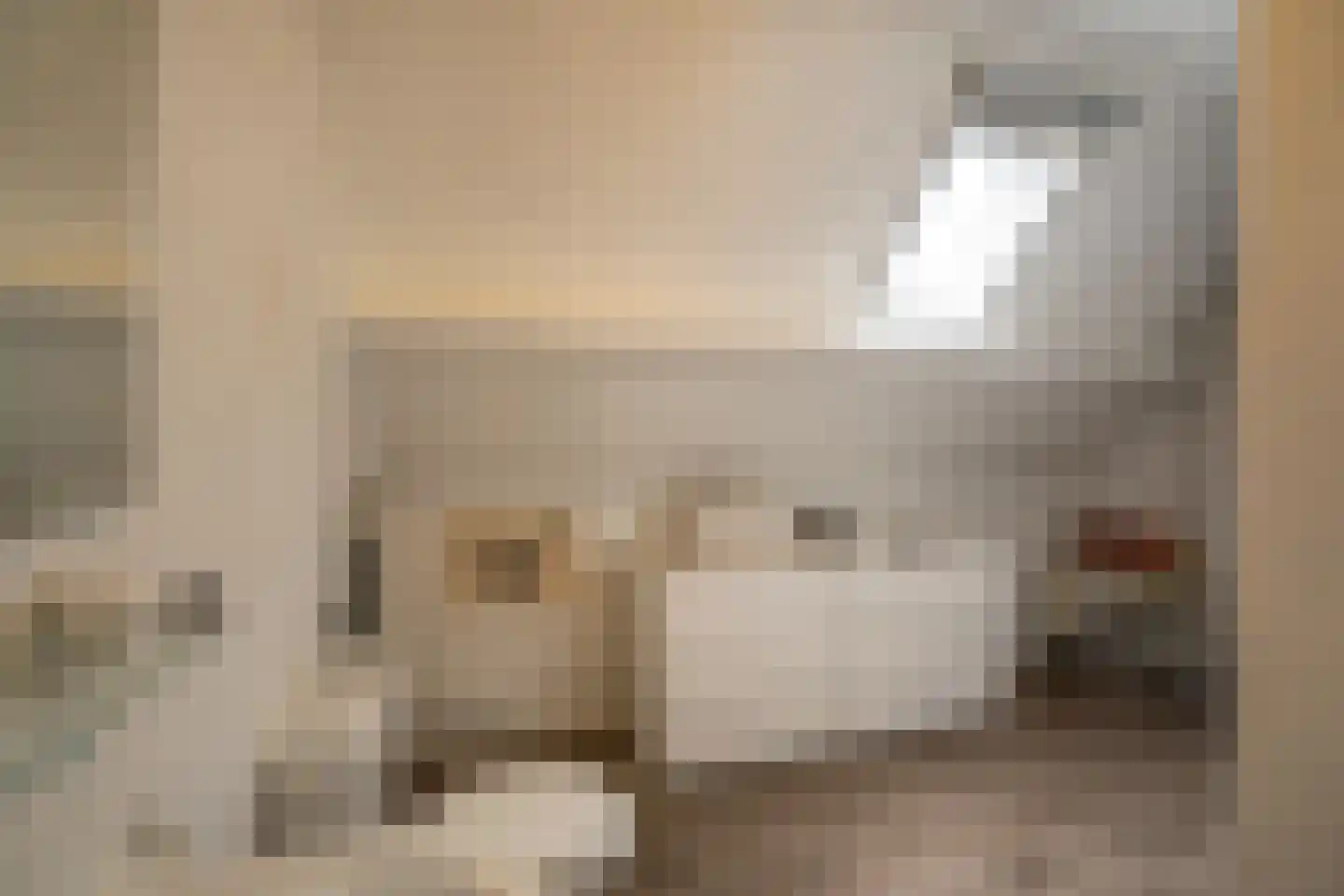 Spijkse Kweldijk 98 Spijk thumbnail 40
