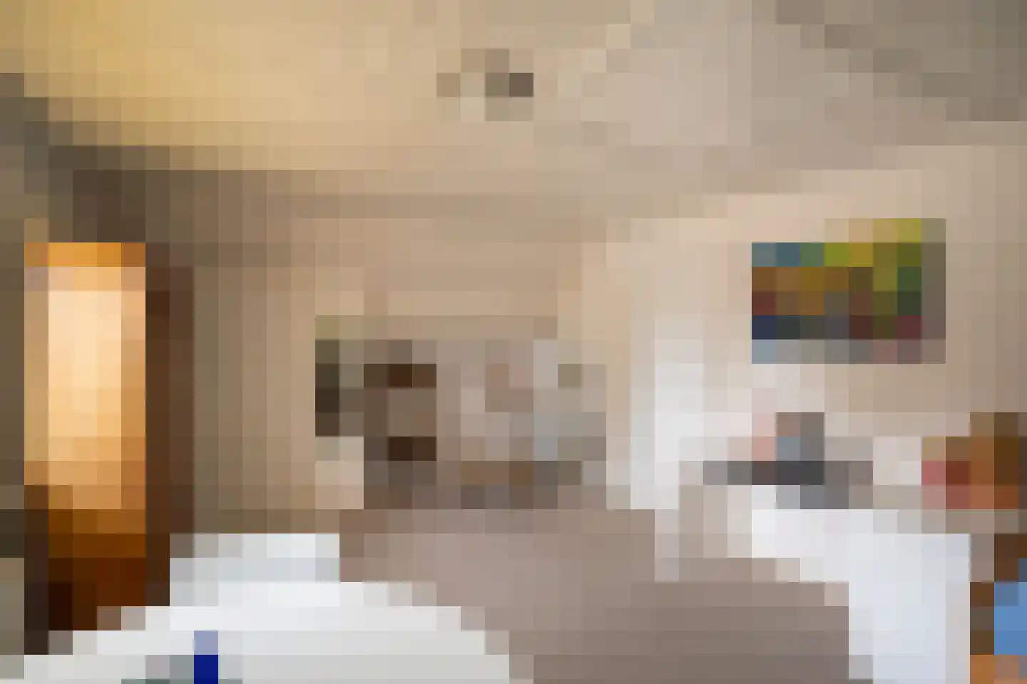 Spijkse Kweldijk 98 Spijk thumbnail 42