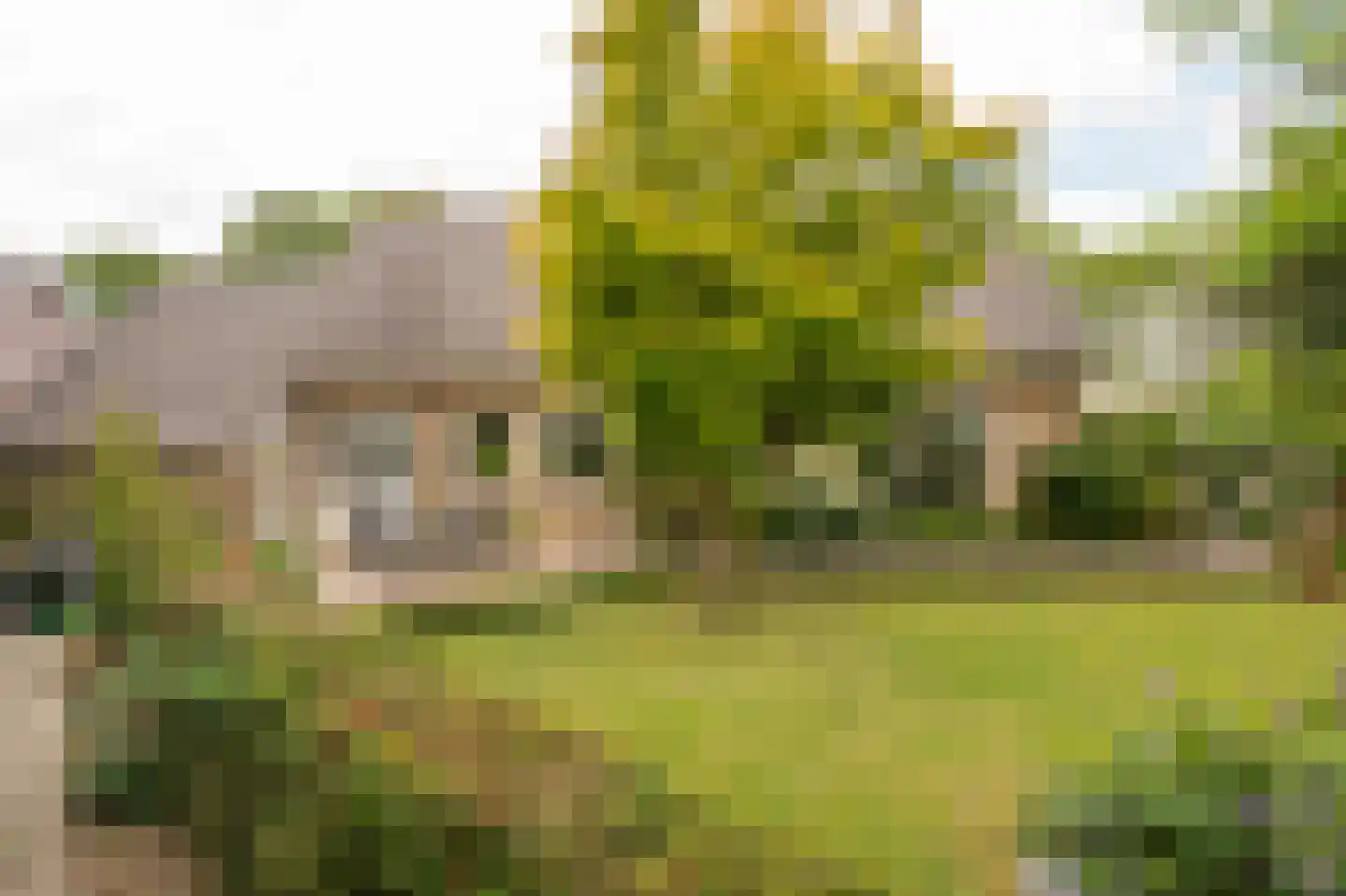 Spijkse Kweldijk 98 Spijk thumbnail 45