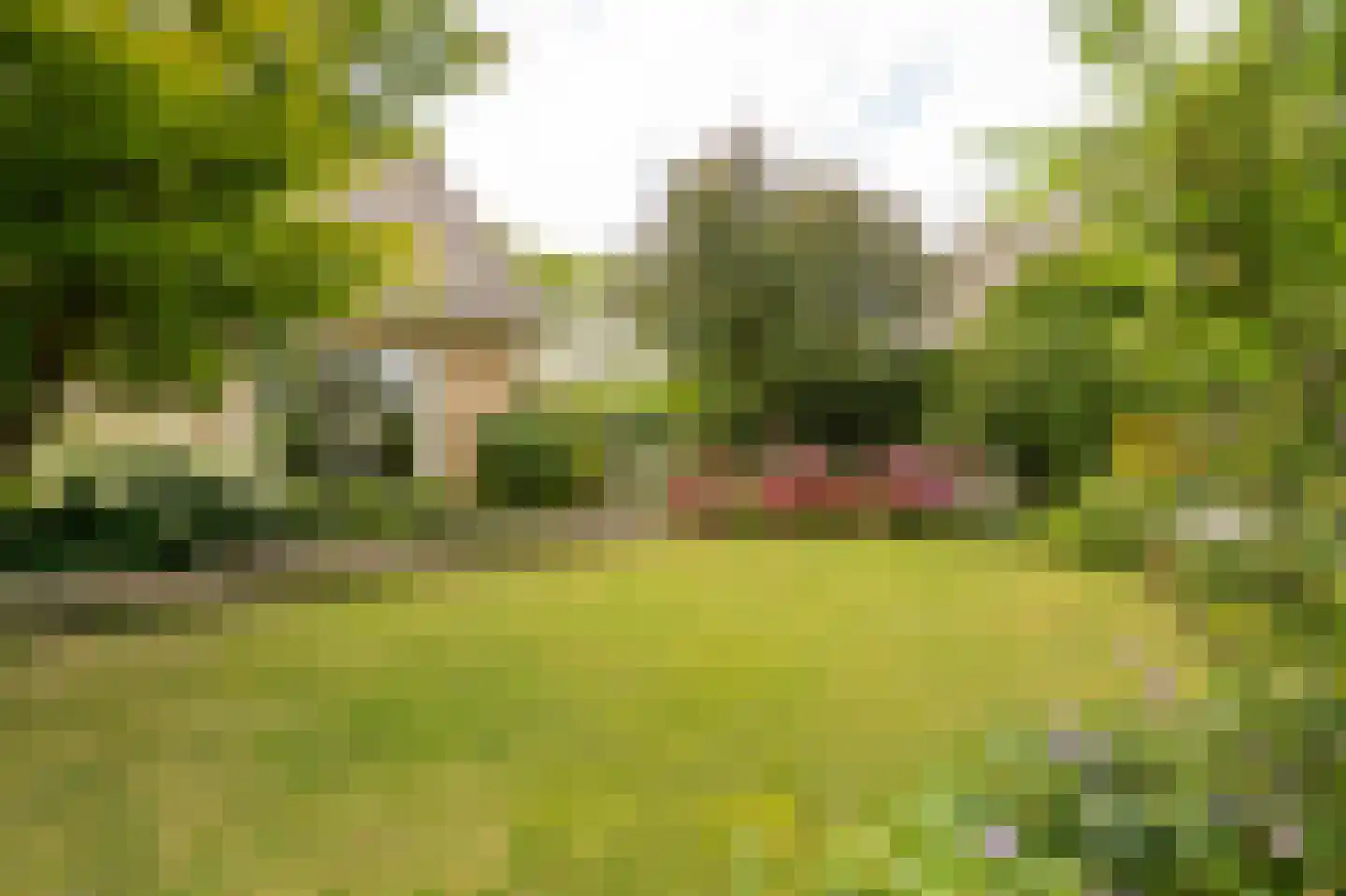 Spijkse Kweldijk 98 Spijk thumbnail 46