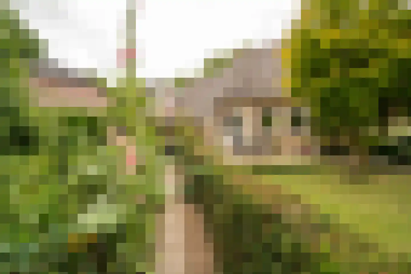Spijkse Kweldijk 98 Spijk thumbnail 47