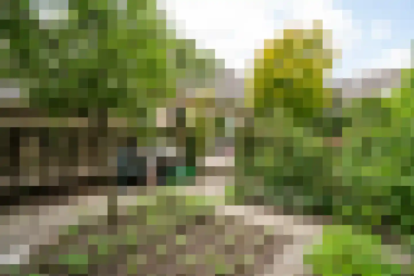 Spijkse Kweldijk 98 Spijk thumbnail 48