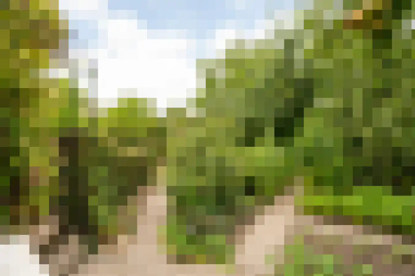 Spijkse Kweldijk 98 Spijk thumbnail 49