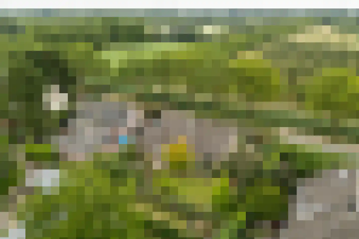 Spijkse Kweldijk 98 Spijk thumbnail 5