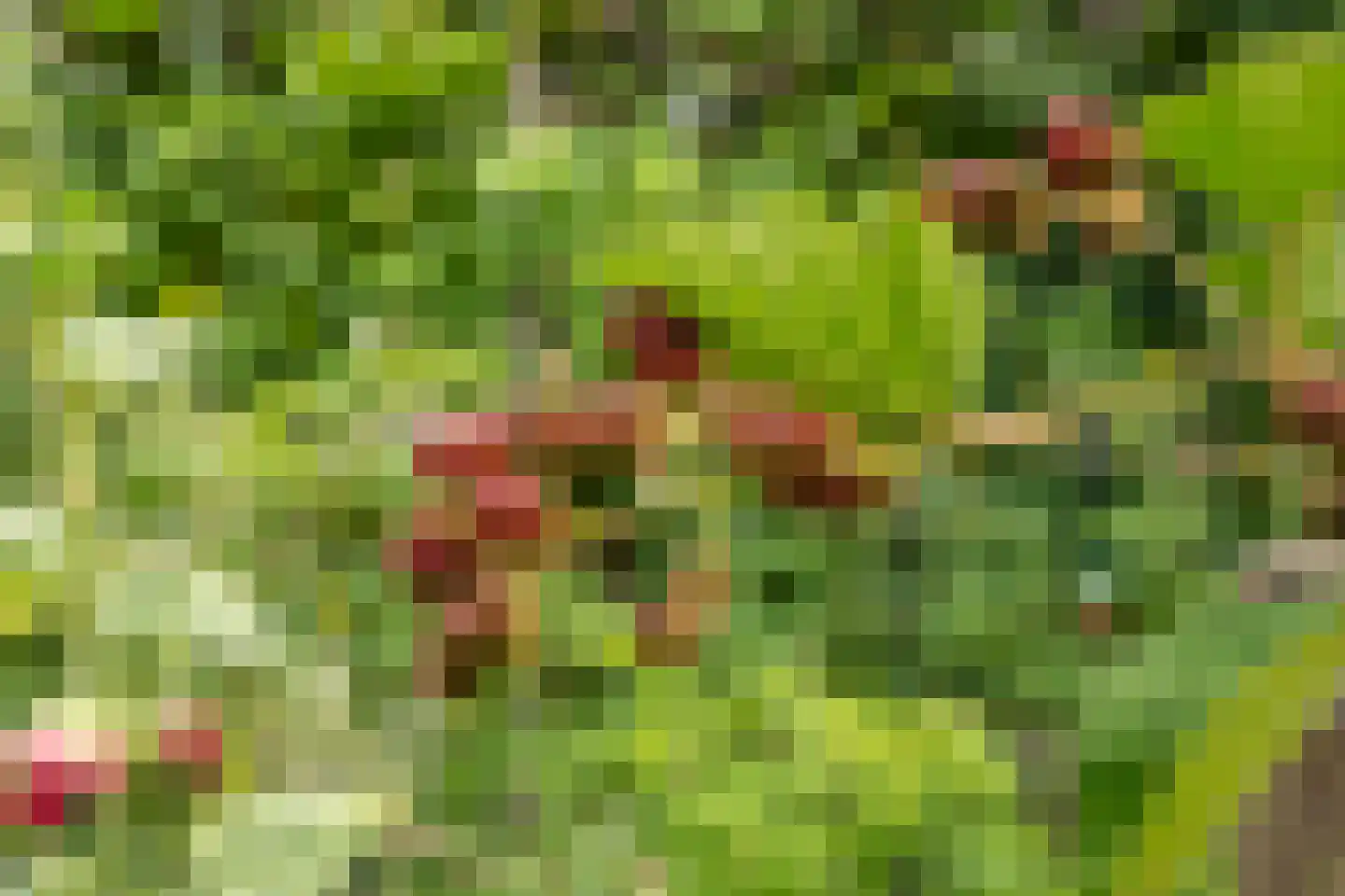 Spijkse Kweldijk 98 Spijk thumbnail 51