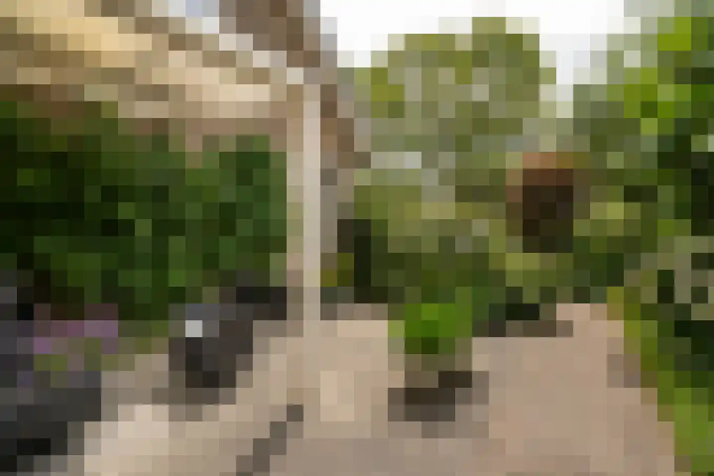 Spijkse Kweldijk 98 Spijk thumbnail 52