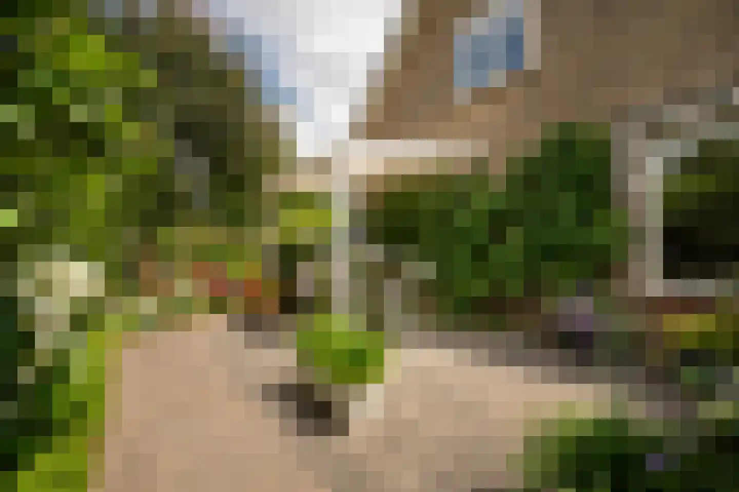 Spijkse Kweldijk 98 Spijk thumbnail 53